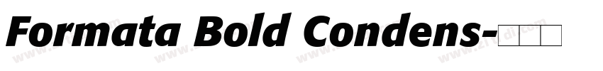 Formata Bold Condens字体转换